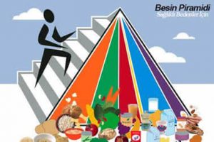 Besinlerin Spor İle İlişkisi Nedir?